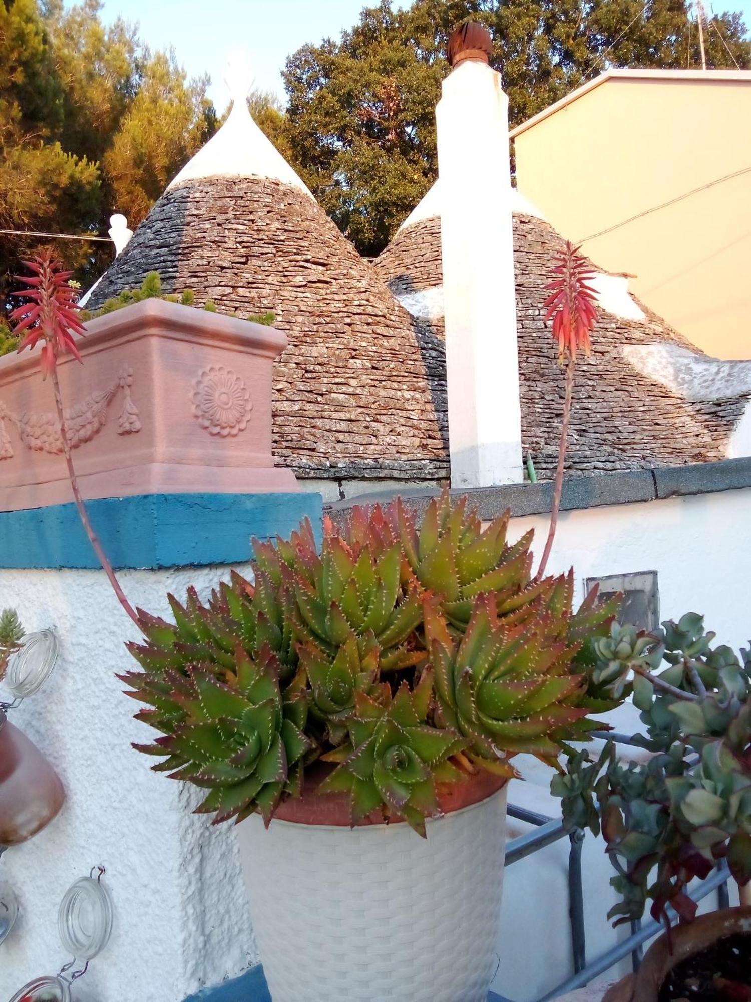 Casa Da Luisa Countryhouse Νότσι Εξωτερικό φωτογραφία