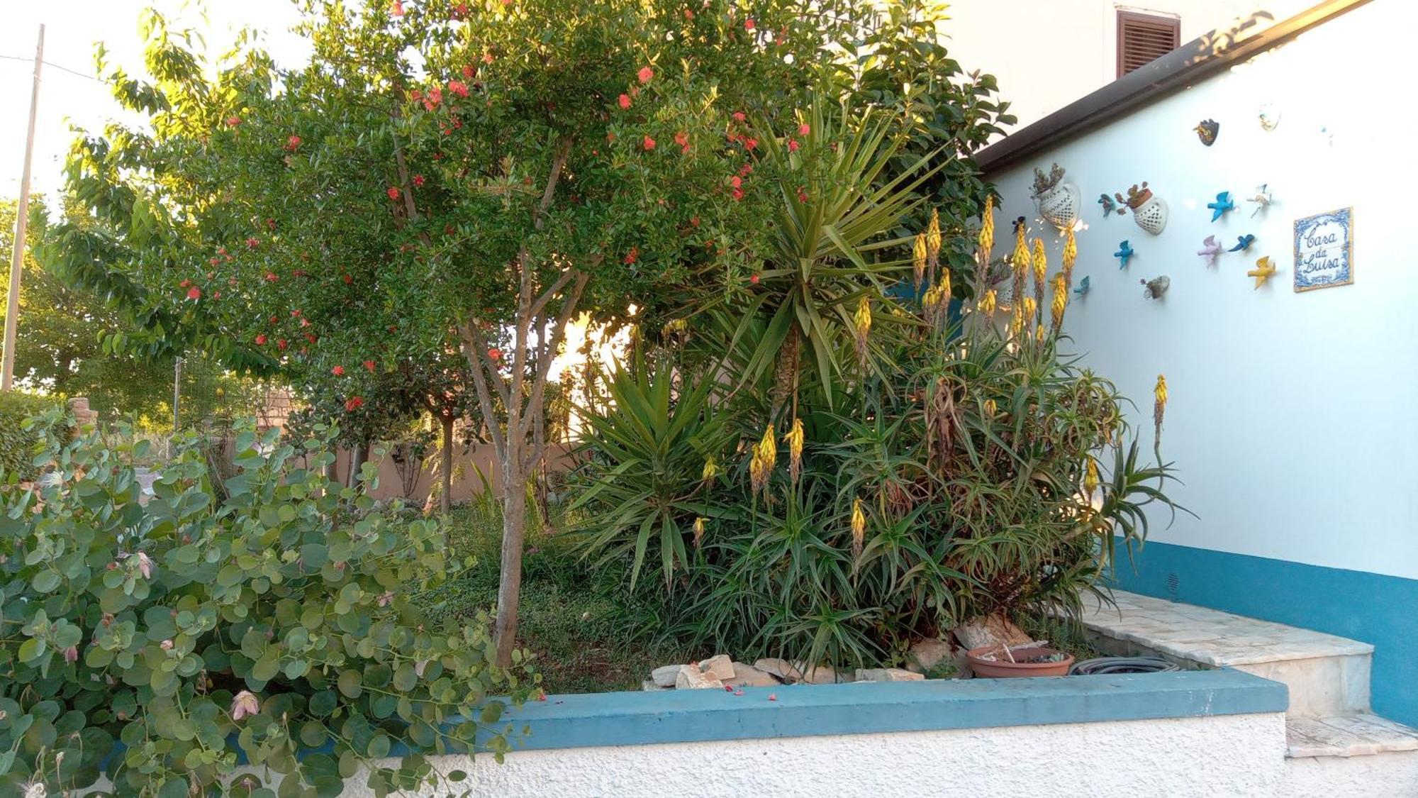 Casa Da Luisa Countryhouse Νότσι Εξωτερικό φωτογραφία